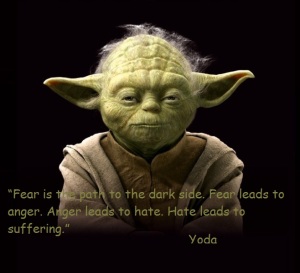 Fear-is-the-path-to-the-dark-side.-Fear-leads-to-anger.-Anger-leads-to-hate.-Hate-leads-to-suffering-Yoda